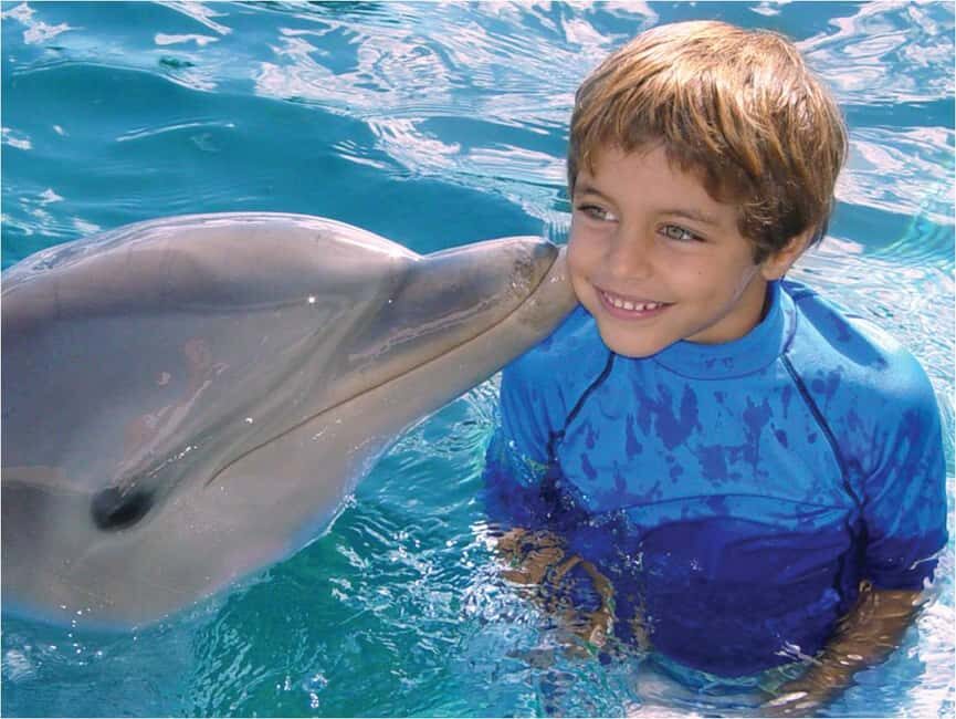 Puerto Plata: Dolphin Encounter at Ocean World - The Full Day Pass Reality: Snorkel Reef, Pirate’s Pool, Rainforest Birds