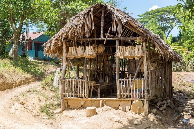 Puerto Plata: Escapada Cultural Tour in Puerto Plata - A taste-first cultural day in Puerto Plata