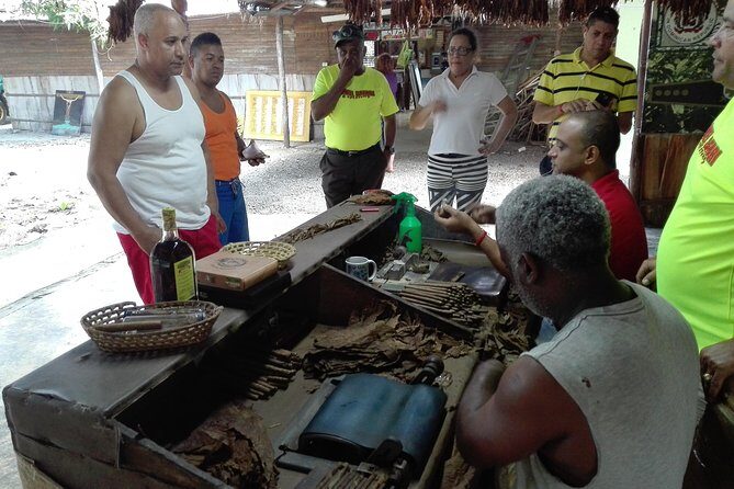Puerto Plata: Escapada Cultural Tour in Puerto Plata - Organic cacao plantation, chocolate procedure, and tasting