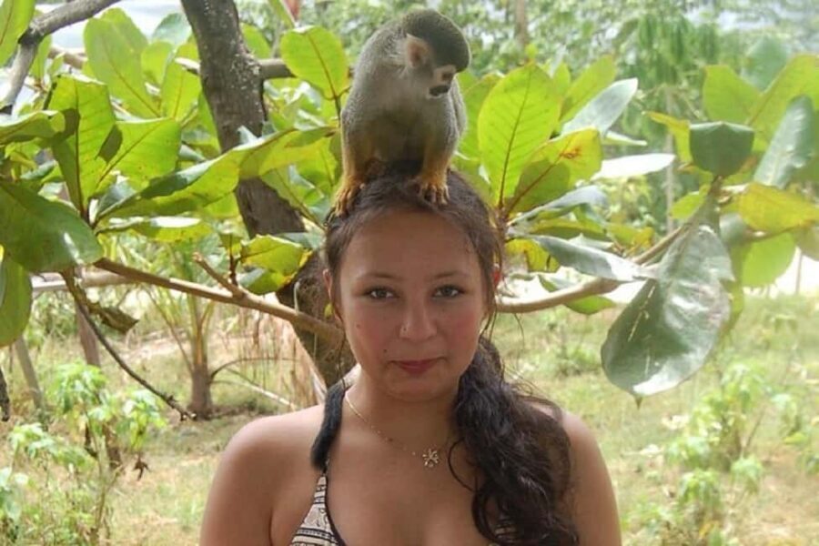 Puerto Plata: Monkey Tour, Fortress, and Historic Center - San Felipe Fortress: 16th-century walls, Atlantic views, and pirate-era stories