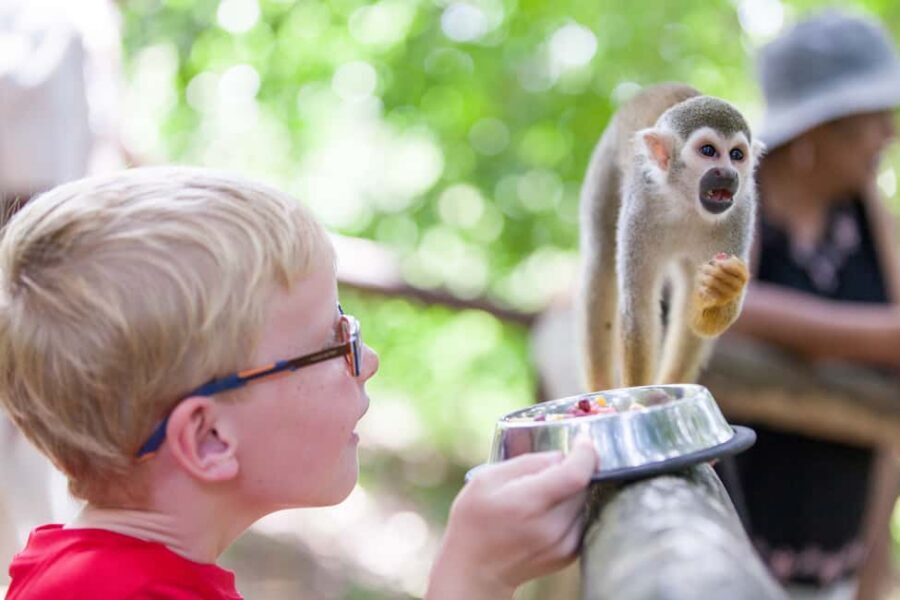 Puerto Plata: Monkeyland and Zip-Line Adventure - Key highlights worth your attention