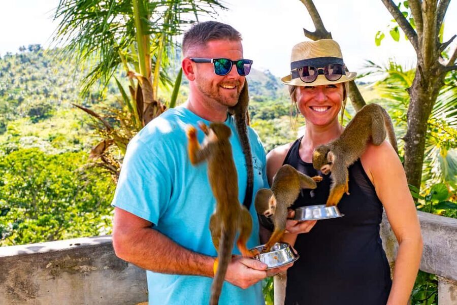Puerto Plata: Monkeyland and Zip-Line Adventure - Zip-line time: gliding through jungle, rainforest, and across a Caribbean river