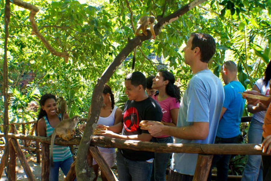 Puerto Plata: Monkeyland and Zip-Line Adventure - Monkeyland after the adrenaline: close-up squirrel monkeys and mountain views