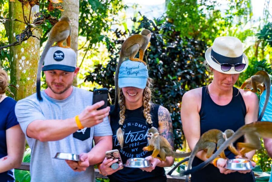 Puerto Plata: Monkeyland and Zip-Line Adventure - The 5-hour flow: pickup, training briefing, and first-time zip-line confidence