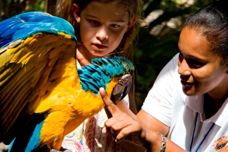 Puerto Plata: Ocean World Adventure Park Day Pass - Rainforest walk, bird exhibit, and iguanas: the land break that matters