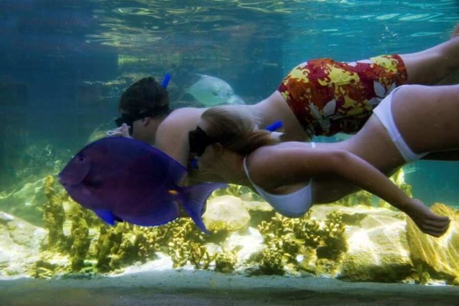Puerto Plata: Ocean World Adventure Park Day Pass - Price and extras: what $79 really covers in Puerto Plata
