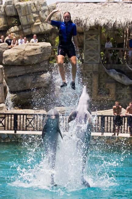 Puerto Plata: Ocean World Adventure Park Day Pass - Snorkeling at the Tropical Reef Aquarium and Pirate’s Pool