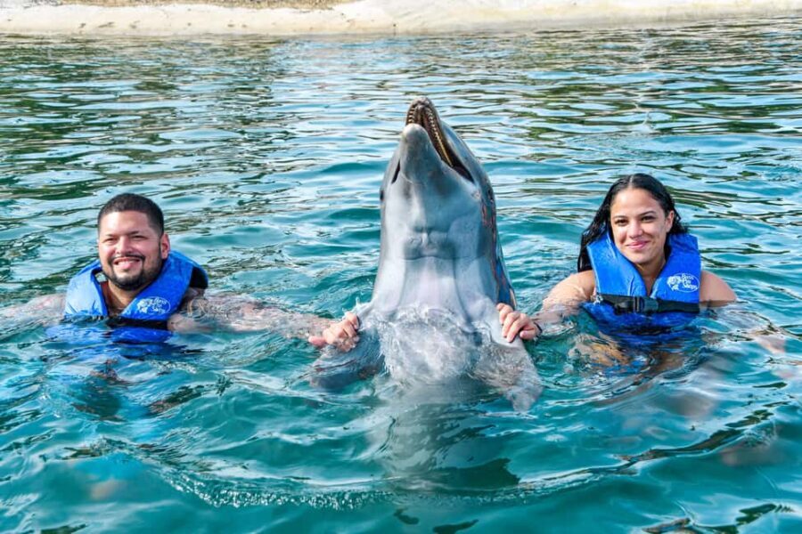 Puerto Plata: Ocean World Adventure Park Swim with Dolphins - Key highlights at Ocean World Puerto Plata
