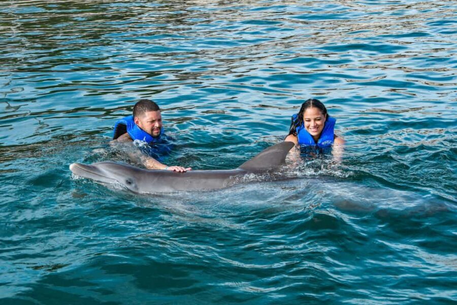Puerto Plata: Ocean World Adventure Park Swim with Dolphins - Reef aquarium snorkeling and lovebird feeding: small moments that add up