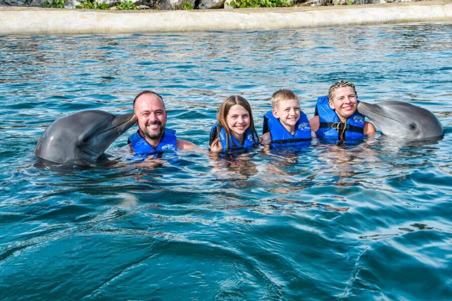 Puerto Plata: Ocean World Adventure Park Swim with Dolphins - The dolphin swim: lecture, boogie-board ride, hugs, and the real timing