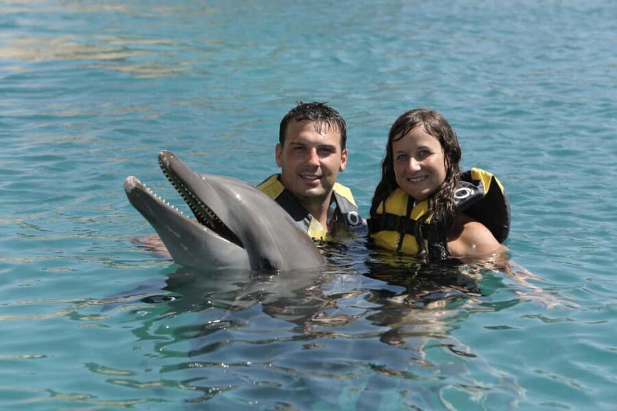 Puerto Plata Ocean World Dolphin Swim - Key Things to Know Before You Go