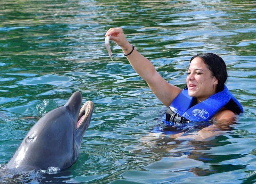 Puerto Plata Ocean World Dolphin Swim - Ocean World Puerto Plata: Why This Dolphin Lagoon Day Feels Different