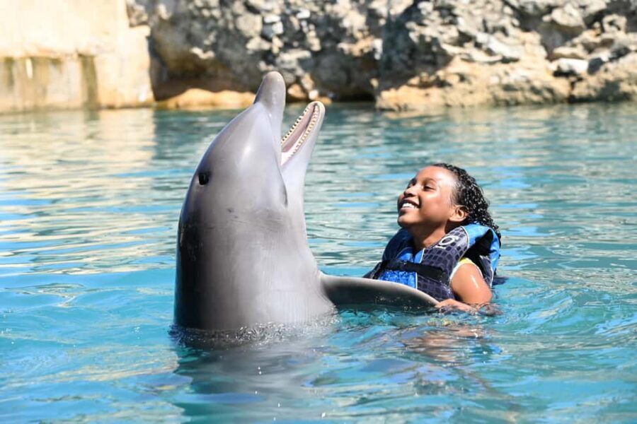 Puerto Plata Ocean World Dolphin Swim - The 30-Minute Dolphin Swim: Lecture, Hand Signals, and Dolphin Beach