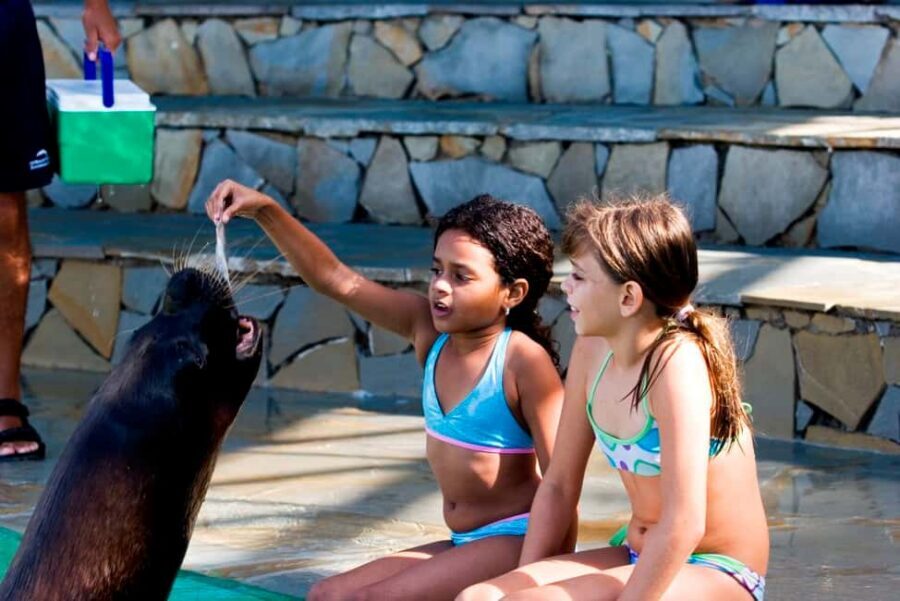 Puerto Plata Ocean World Tickets - Key things I’d plan around at Ocean World Puerto Plata