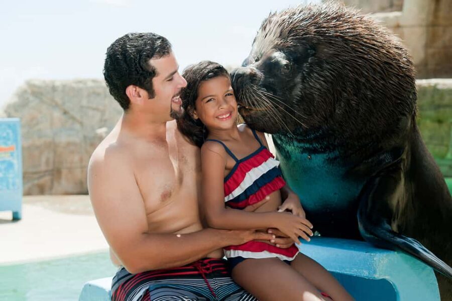 Puerto Plata Ocean World Tickets - The patagonian sea lion encounter: the moment the day is built around
