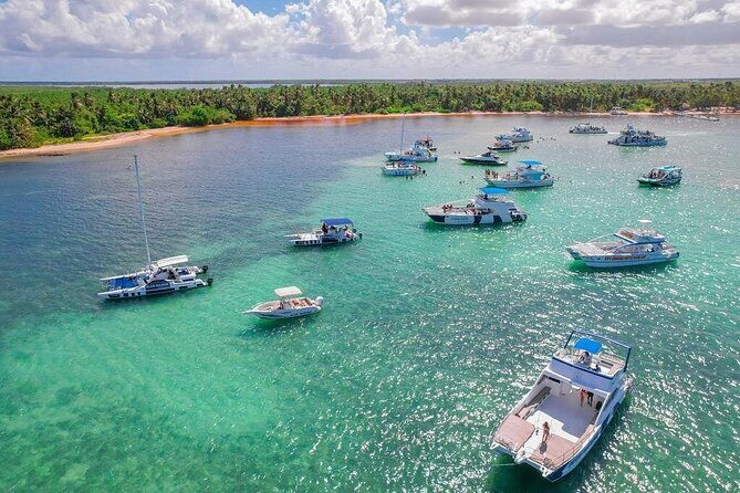 Puerto Plata Party Boat and Snorkeling Adventure from Cruise Port - Snorkeling Practical Tips for This Specific Setup