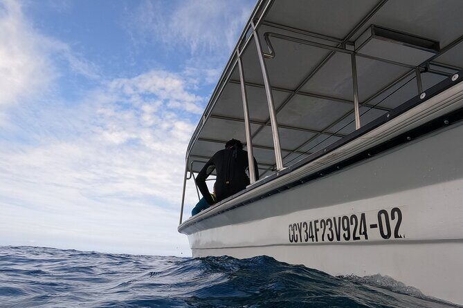 Puerto Plata Shore Excursion, Snorkeling tour & Sosua Beach Day - From Puerto Plata Ports to Sosúa Bay: How the Half-Day Runs