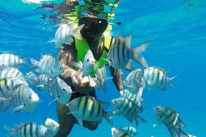 Puerto Plata Shore Excursion, Snorkeling tour & Sosua Beach Day - Getting Your Mask On: Gear, Vest, and Boat Realities