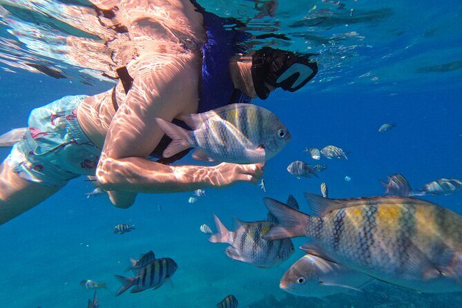 Puerto Plata Shore Excursion, Snorkeling tour & Sosua Beach Day - Sosúa Beach Day After Snorkeling: Chairs, Swim Time, and Simple Joy