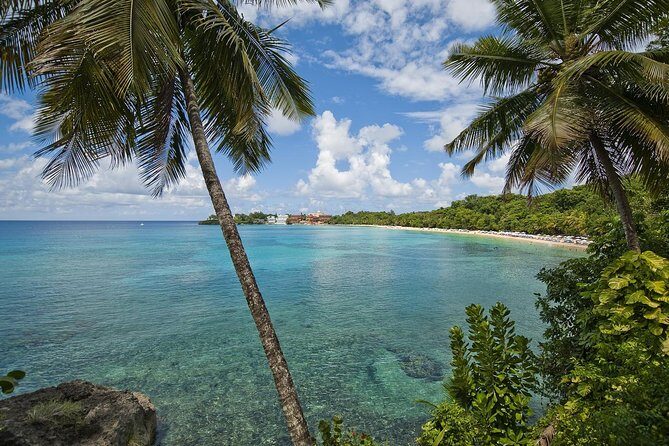 Puerto Plata Shore Excursion, Snorkeling tour & Sosua Beach Day - Who Should Book This Shore Excursion (And Who Might Skip It)