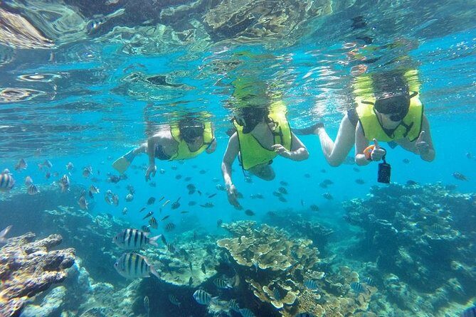 Puerto Plata Shore Excursion, Snorkeling tour & Sosua Beach Day - Tips That Make This Puerto Plata Snorkeling Day Easier