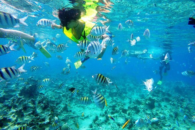 Puerto Plata Shore Excursion, Snorkeling tour & Sosua Beach Day - Two Reef Stops in Sosúa Bay: What You’re Really Getting