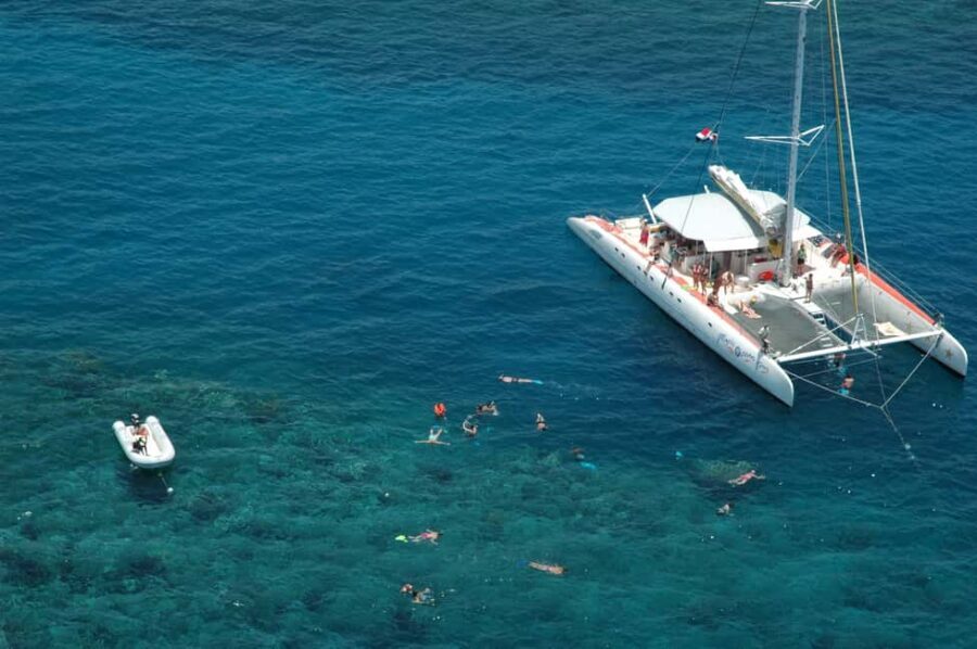 Puerto Plata: Sosúa Catamaran Day Trip with Lunch and Drinks - Snorkeling stop at the coral reef: gear included, expectations set