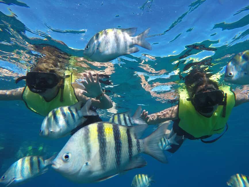 Puerto Plata: Sosúa Catamaran Day Trip with Lunch and Drinks - Lunch onboard + unlimited rum punch: the part that makes it feel like a vacation