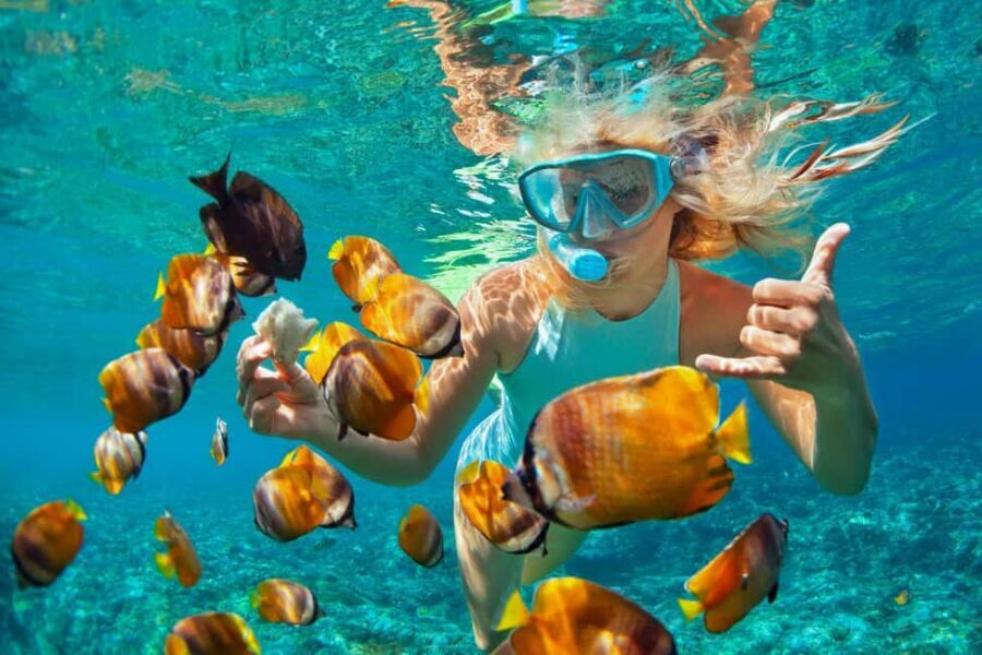 Puerto Plata: Sosúa Catamaran Day Trip with Lunch and Drinks - Cruising Puerto Plata Province: coastline views without the stress