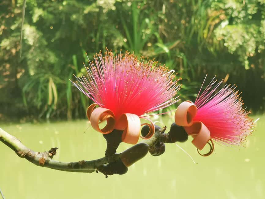 Puerto Plata: Taino Valley and Dominican Flavor Experience - Key highlights worth your attention