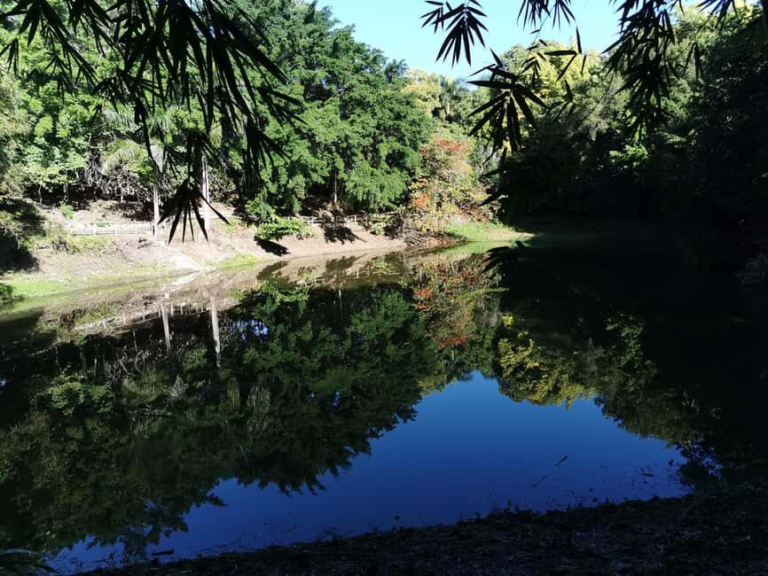 Puerto Plata: Taino Valley and Dominican Flavor Experience - Price and value: what $89 buys you in practice