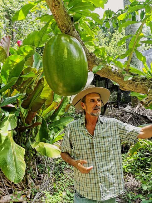 Puerto Plata: Taino Valley and Dominican Flavor Experience - Ocean to Hills: the drive that sets the mood