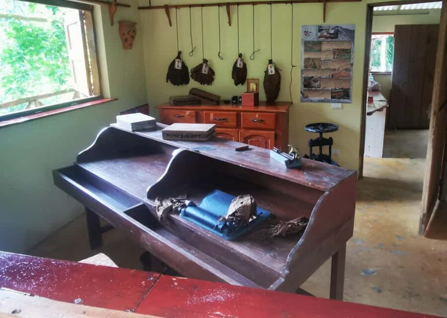 Puerto Plata: Taino Valley and Dominican Flavor Experience - Cigar crafting demos and the optional tasting