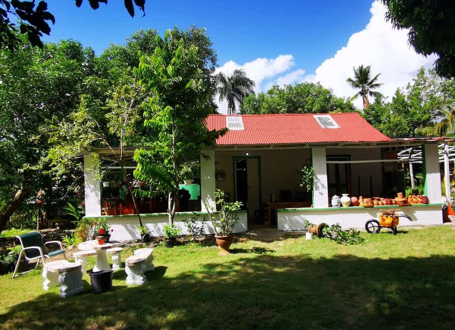 Puerto Plata: Taino Valley and Dominican Flavor Experience - Taino Valley Tropical Park: plants, Taino statues, and a natural water system