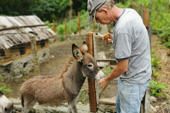 Taino Valley Tropical Park Puerto Plata Tubagua - Why Taino Valley Tropical Park is different from a typical Puerto Plata tour