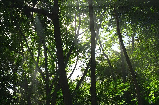 Taino Valley Tropical Park Puerto Plata Tubagua - Pickup, timing, and how long it really takes