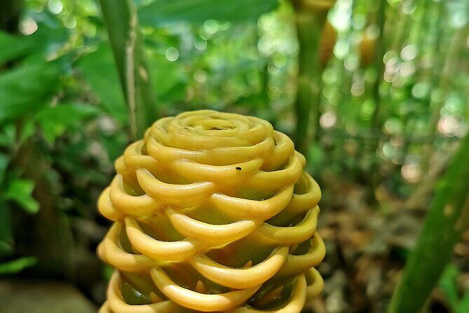 Taino Valley Tropical Park Puerto Plata Tubagua - Stop 1: The Taino Valley Tropical Park walk—statues, plants, and fish ponds