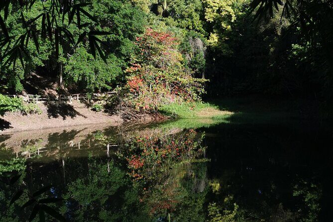 Taino Valley Tropical Park Puerto Plata Tubagua - What’s included: fruit tasting and traditional coffee