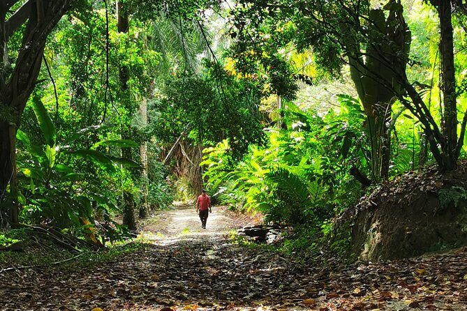 Taino Valley Tropical Park Puerto Plata Tubagua - How fit do you need to be for this 4–5 hour outdoor walk?