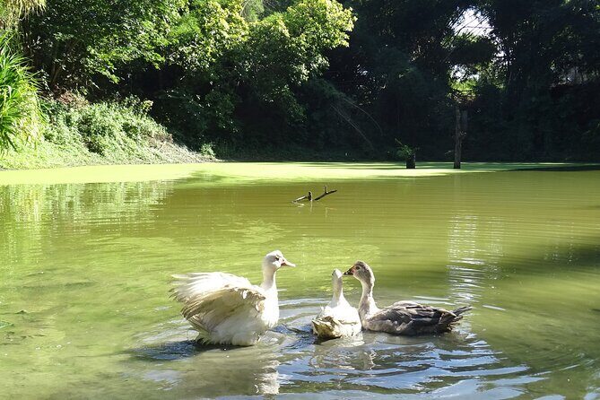 Taino Valley Tropical Park Puerto Plata Tubagua - Getting your money’s worth: the $79 value check