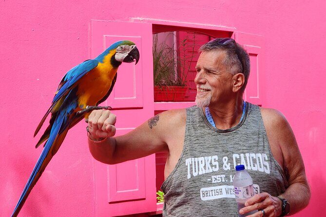 The Ultimate Puerto Plata Challenge: City & 7 Waterfalls - Logistics That Make the Day Easier: Pickup, Mobile Ticket, and a Tight Route