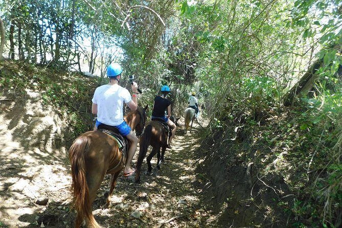 VIP DayPass: ATV, ZipLine, Horse Riding / Shore Excursion & Hotel - Price and Value: What You’re Actually Paying For