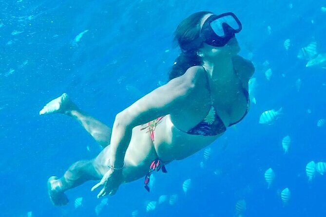 VIP Fascinating Boat Ride & Snorkeling at Sosua Bay - Price and value at $84.64: what you’re really paying for