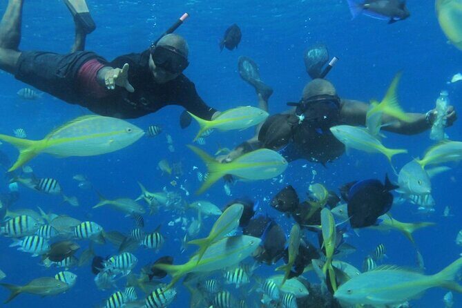 VIP Party Boat & Snorkeling - Snorkeling on two spots: coral reefs, tropical fish, and what the “two stops” really means