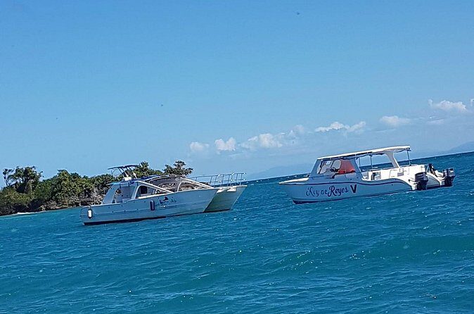 Whale Watching in Samana - On the Boat: What Whale Watching Feels Like in Practice