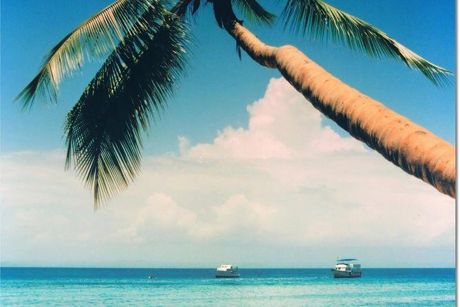 Whale Watching in Samana - Group Size and Booking Timing: Why It Feels Smooth